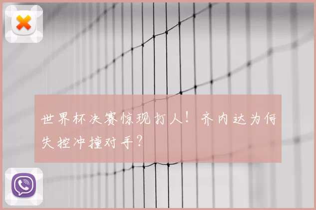世界杯决赛惊现打人！齐内达为何失控冲撞对手？