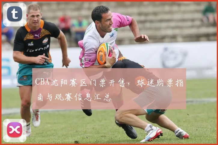 CBA沈阳赛区门票开售，球迷购票指南与观赛信息汇总