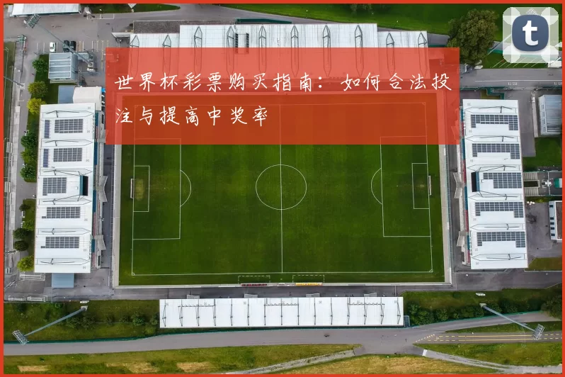 世界杯彩票购买指南：如何合法投注与提高中奖率