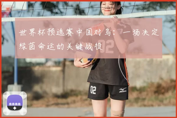 世界杯预选赛中国对乌:一场决定绿茵命运的关键战役