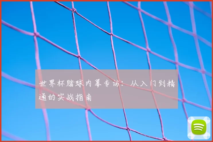 世界杯赌球内幕专访：从入门到精通的实战指南