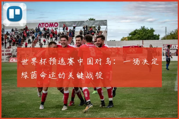 世界杯预选赛中国对乌：一场决定绿茵命运的关键战役