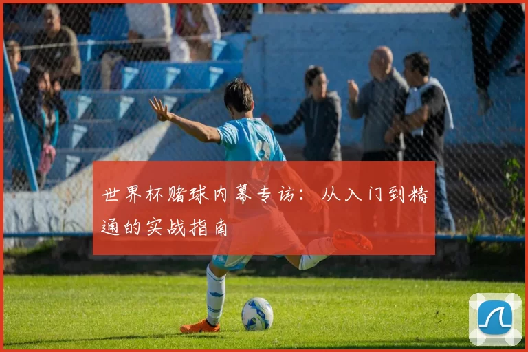 世界杯赌球内幕专访：从入门到精通的实战指南