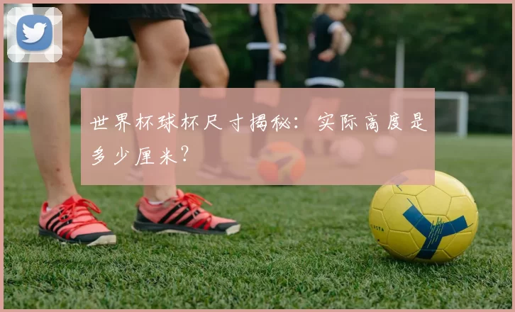 世界杯球杯尺寸揭秘：实际高度是多少厘米？