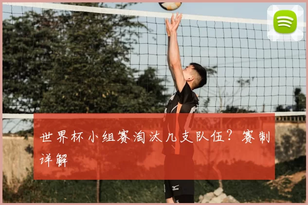 世界杯小组赛淘汰几支队伍？赛制详解